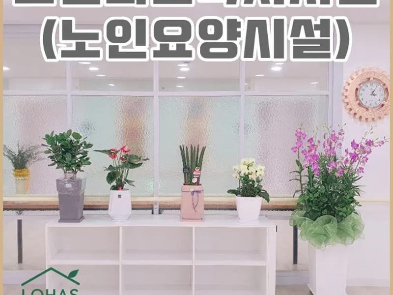 로하스노인복지센터 - 방문요양 in 양천구, 서울특별시 photo 1