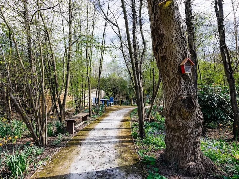 Jacobs Neurological Centre - Inpatient Rehabilitation in Sawbridgeworth, England photo 8