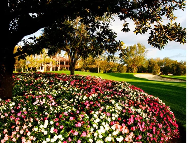 Star Road Respite Service - Adult Day Care in Isleworth, England photo 2