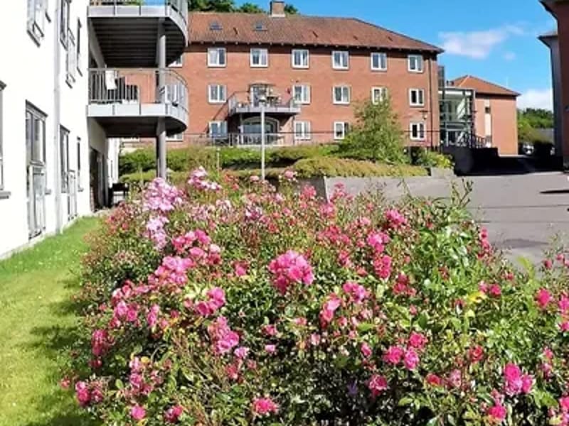 Nørrevang Centret - Plejehjem in Horsens, Region Midtjylland photo 3
