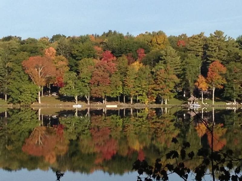 91 Glass Lake Rd. - Geriatric Care Management in Averill Park, NY photo 3