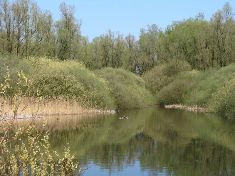 Waterrijk - Begeleid Wonen in Nijmegen, Gelderland photo 2