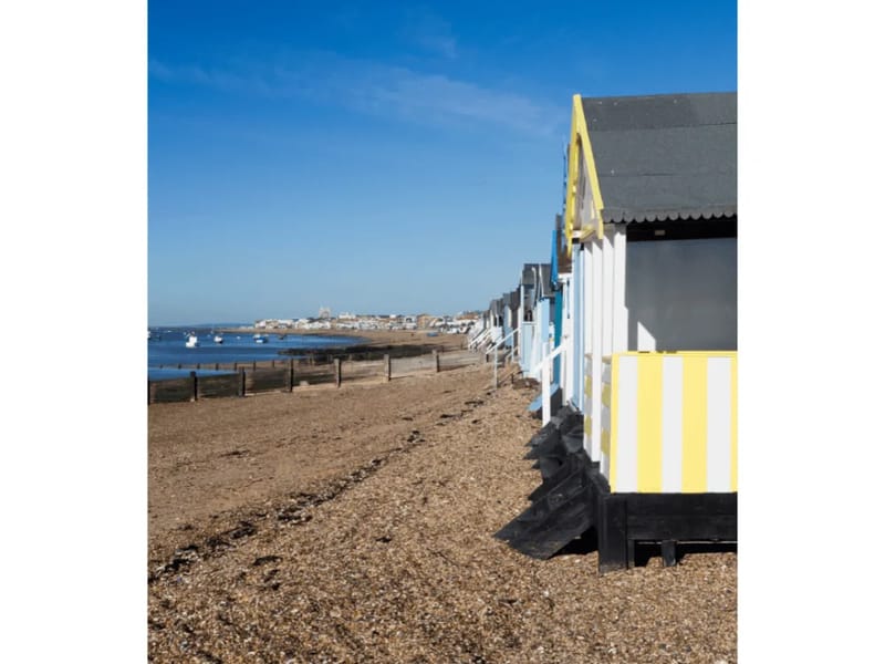 Home Instead - In-Home Care in Southend On Sea, England photo 2