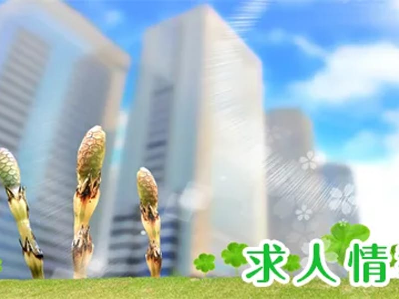 クロストリップケアプランセンター - 有料老人ホーム in 堺市北区, 大阪府 photo 2