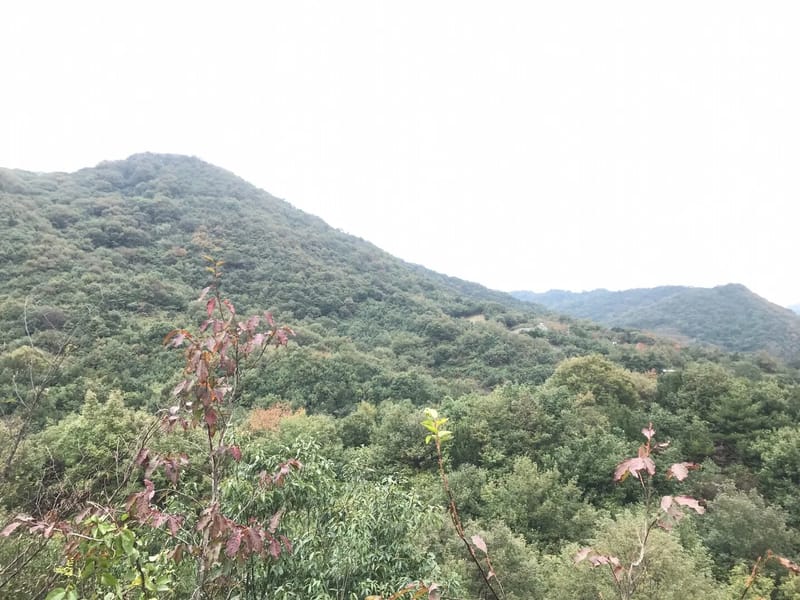 みどり荘ケアプランセンター水島 - 有料老人ホーム in 倉敷市, 岡山県 photo 1