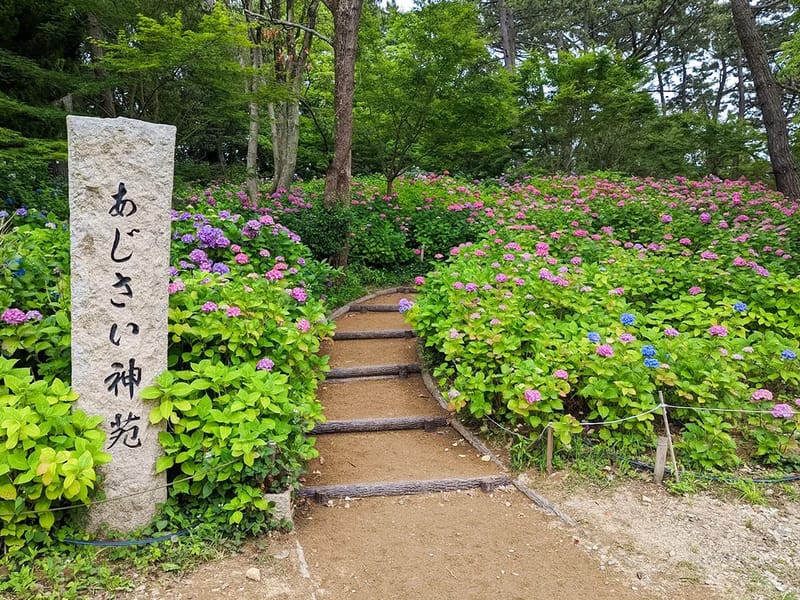 あじさいのもり明石 - 有料老人ホーム in 明石市, 兵庫県 photo 1