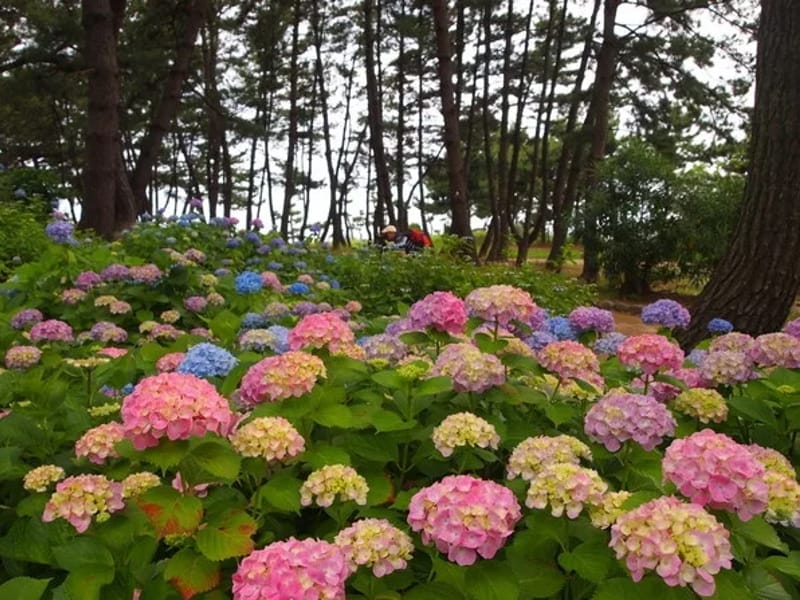 あじさいのもり明石 - 有料老人ホーム in 明石市, 兵庫県 photo 3