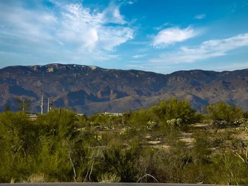 Cherry'S Assisted Living — Assisted Living, Tucson, AZ · photo 2