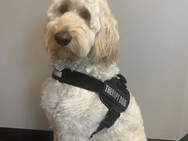 Autism Care Community Services (Lincolnshire) - In-Home Care in Lincoln, England photo 2