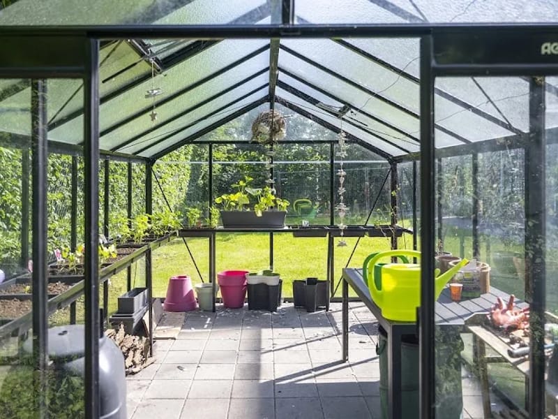 Alliade ouderenzorg Tingastate - Begeleid Wonen in Sneek, Friesland photo 7