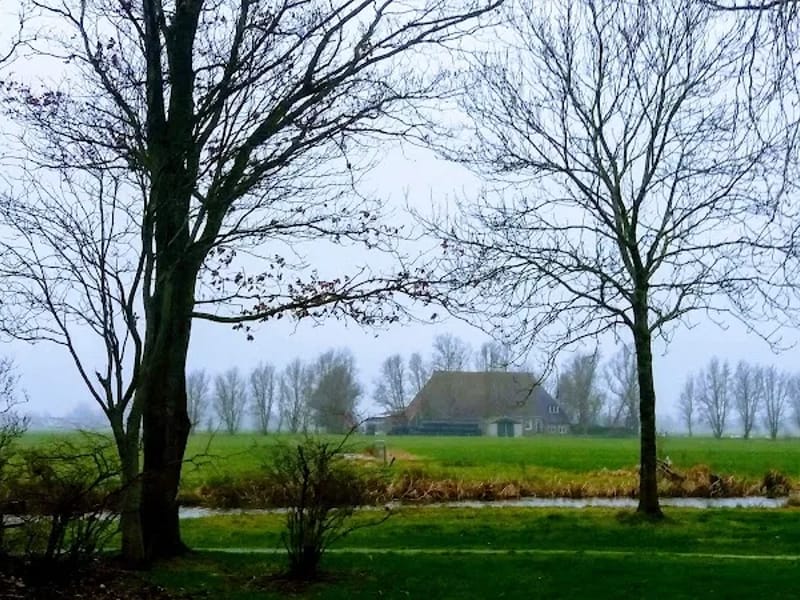 Alliade ouderenzorg Tingastate - Begeleid Wonen in Sneek, Friesland photo 5
