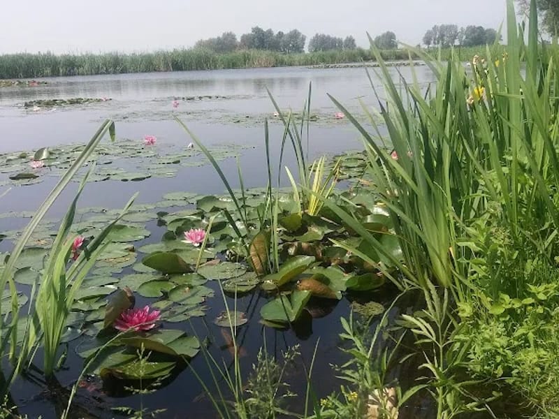 Alliade ouderenzorg Tingastate - Begeleid Wonen in Sneek, Friesland photo 4