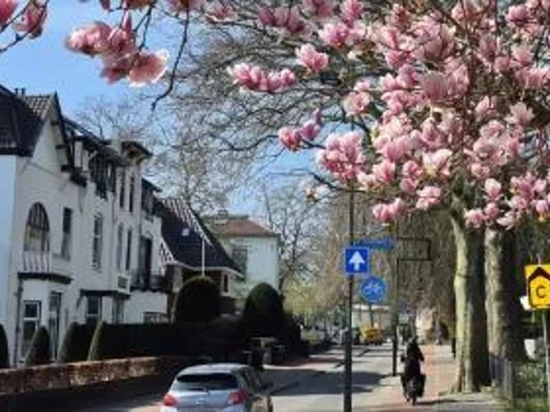 Alba - Verpleeghuis in Hilversum, Noord-Holland photo 1