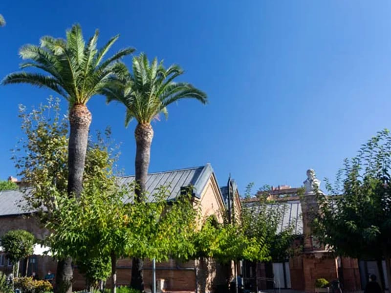 Centre de dia Fundació Roca i Pi - Centro de Día in Badalona, Cataluña photo 1