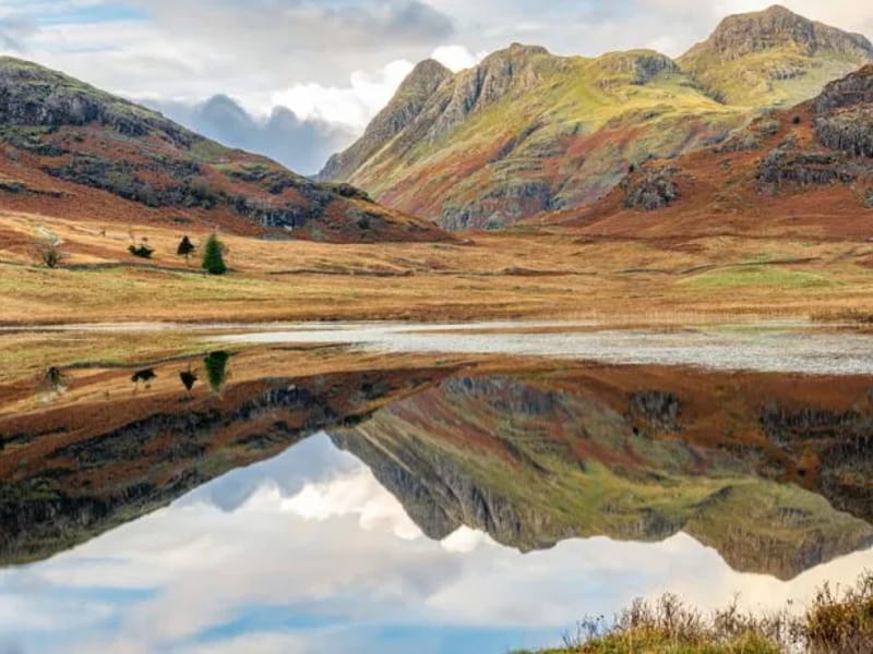 Langdales in Blackpool, England photo 5