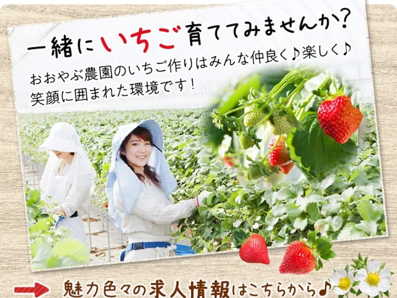 いちごケアプランサービス - 有料老人ホーム in 大木町, 福岡県 photo 2