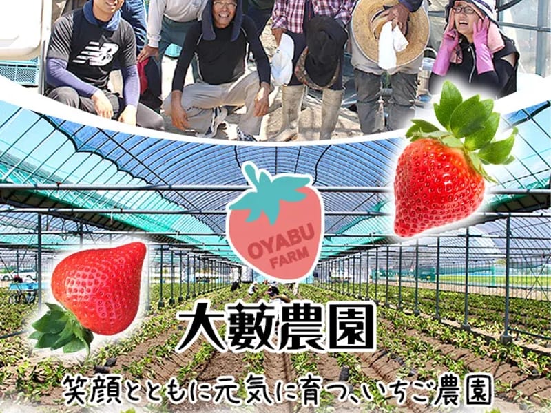 いちごケアプランサービス - 有料老人ホーム in 大木町, 福岡県 photo 1
