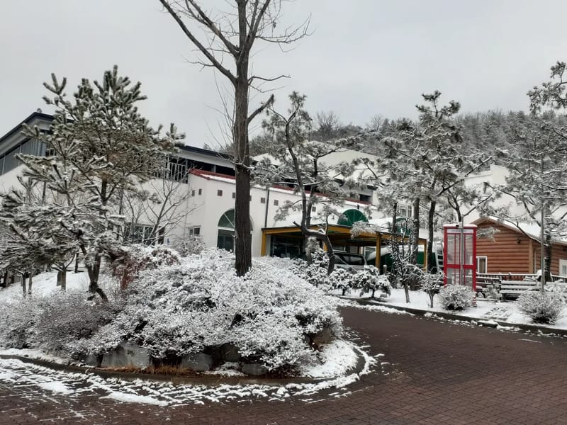 강화사랑요양원 in 강화군, 인천광역시 photo 2