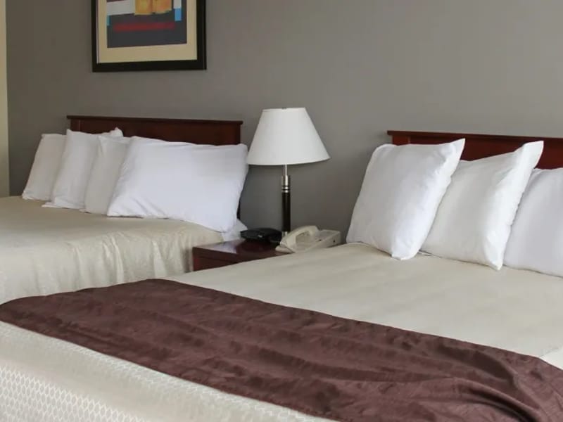 Broadway Lodge Residential Home - Assisted Living in York, England photo 2