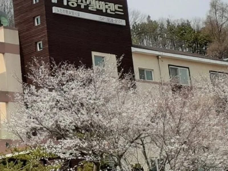 공주실버랜드주간보호센터 - 주간보호 in 공주시, 충청남도 photo 2