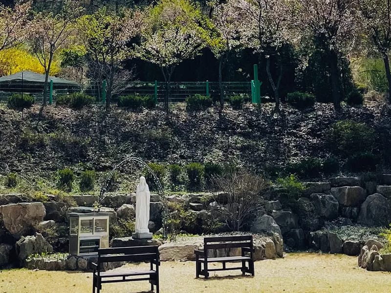 강화꽃동네노인요양원 in 강화군, 인천광역시 photo 1