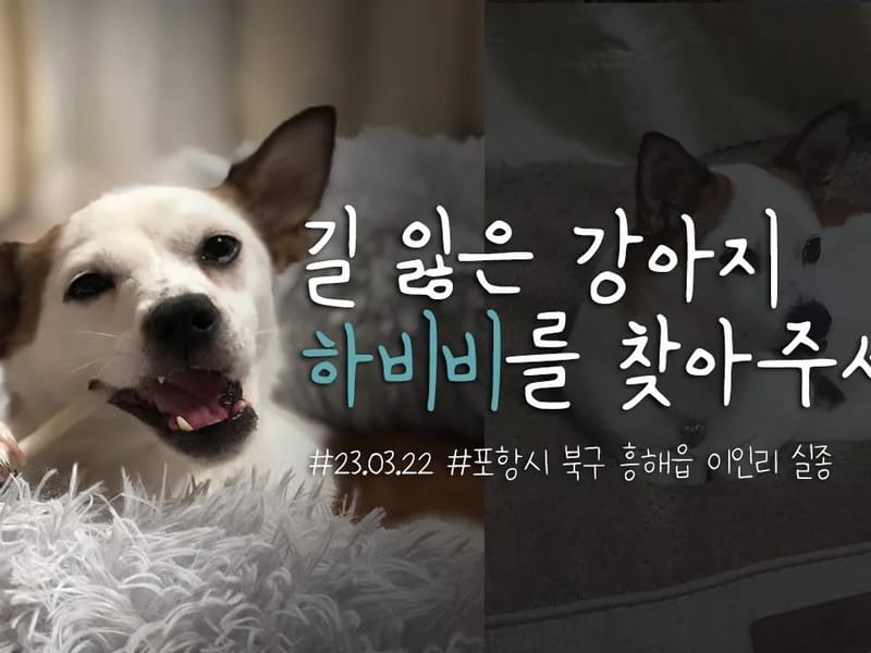 고려시니어케어(달전타운) in 포항시, 경상북도 photo 2