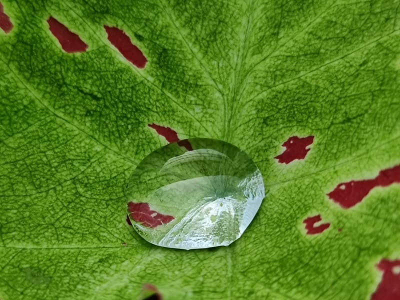 Enliven CastleWood - Nursing Home in Alexandra, Southern District Health Board photo 2