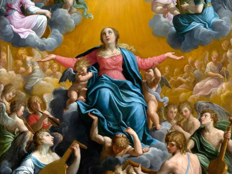 Lar de Nossa Senhora da Assunção - Lar de Idosos in Maia, Porto photo 2