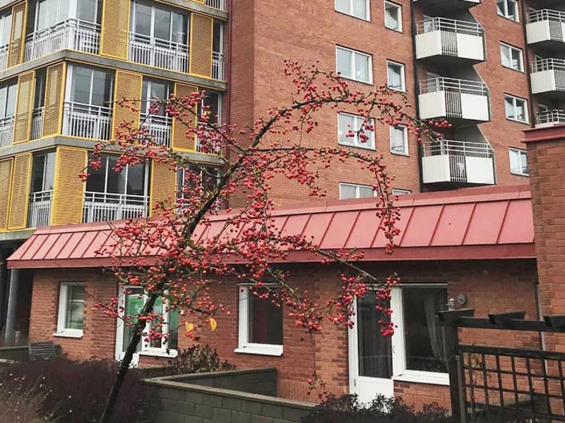 Solängens vård och omsorgsboende - Äldreboende in Göteborg, Västra Götalands län photo 2