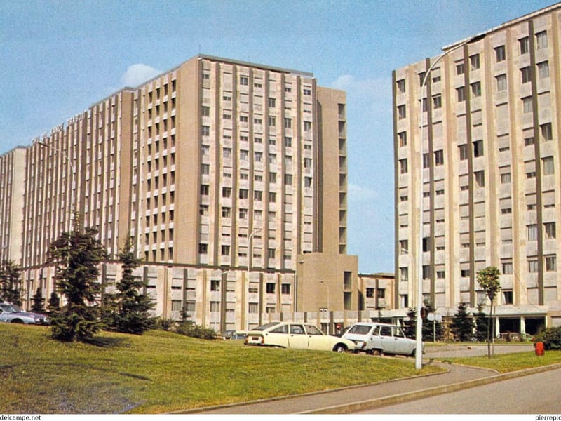 Acc De Jour PA G. Marchal - Plateforme - Accueil de Jour in VANDOEUVRE LES NANCY, Grand Est photo 2