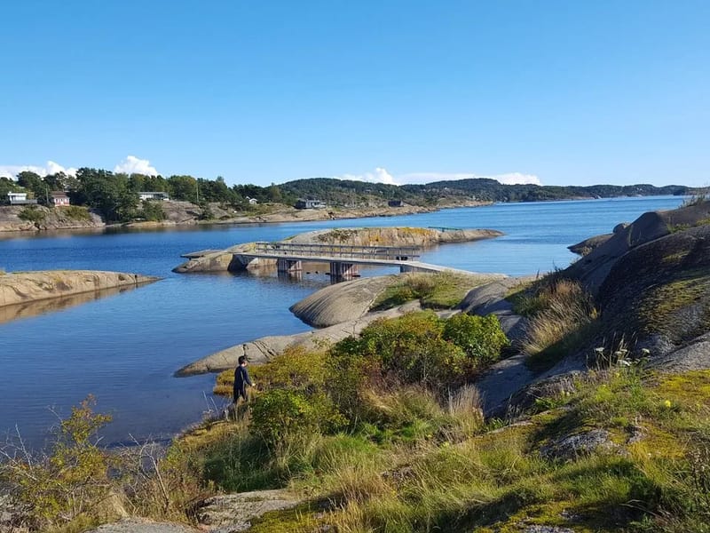 Ranviksenteret - Dagaktivitet for voksne in Sandefjord, Vestfold og Telemark photo 2