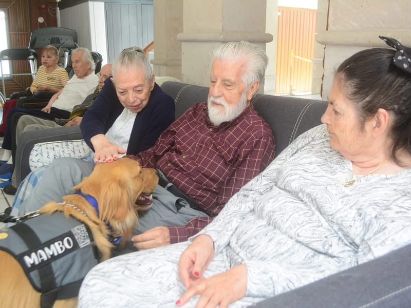 ASILO DE ANCIANOS - Hogar de Ancianos in Las Choapas, Veracruz photo 2