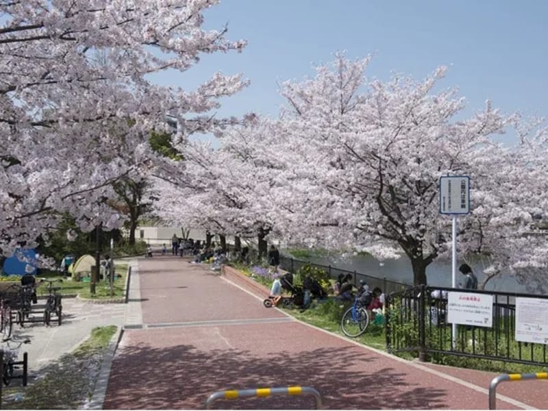 さかいの樹　野間大池通り - デイサービス in 福岡市南区, 福岡県 photo 2