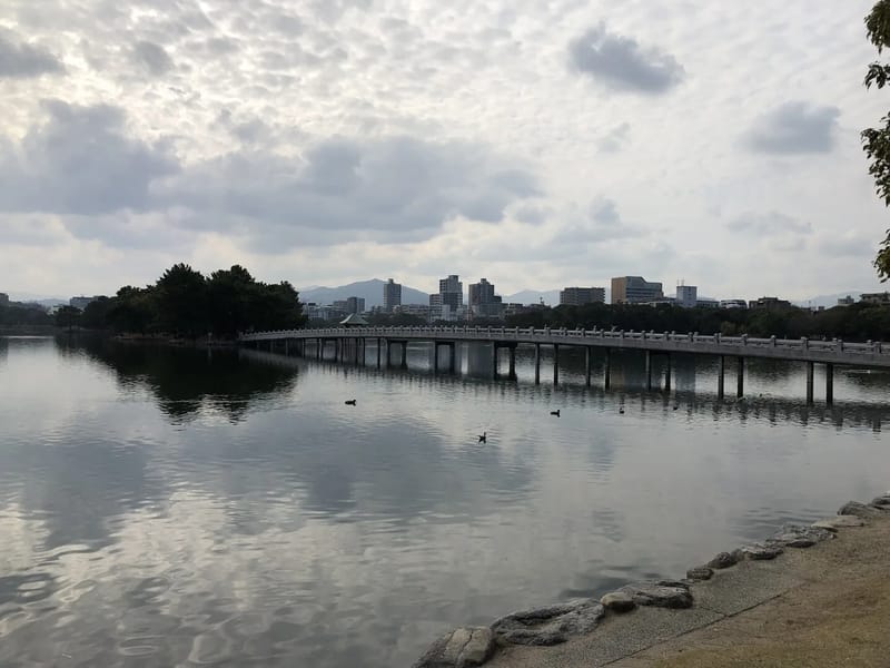 さかいの樹　野間大池通り - デイサービス in 福岡市南区, 福岡県 photo 3