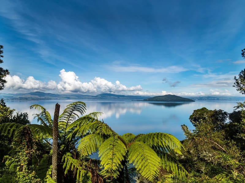 Makoha Rotorua - Nursing Home in Rotorua, Lakes District Health Board photo 1