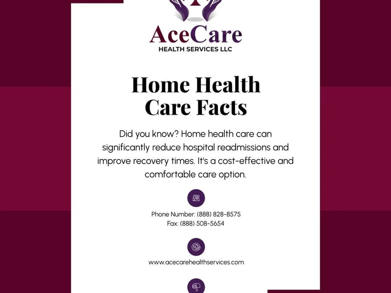ACE HEALTH CARE SERVICES, LLC - Home Health Nursing in Lemont, IL photo 2