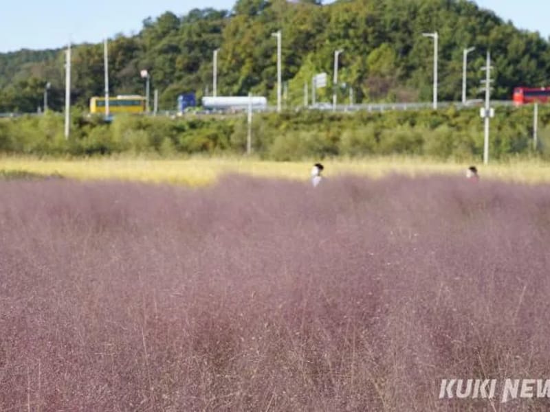 가장즐거운방문요양 - 방문요양 in 김포시, 경기도 photo 2