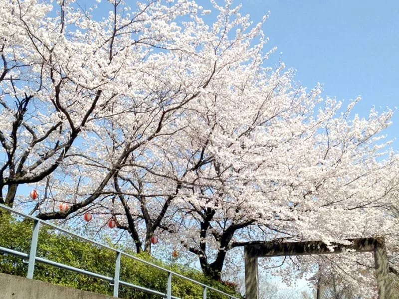 いなぎ正吉苑 - 有料老人ホーム in 稲城市, 東京都 photo 3