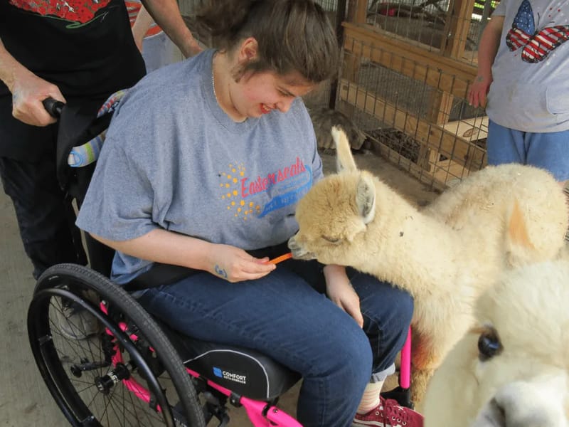 Adult Day Servcies Of Easter Seals Ads-H - Adult Day Care in Hagerstown, MD photo 2