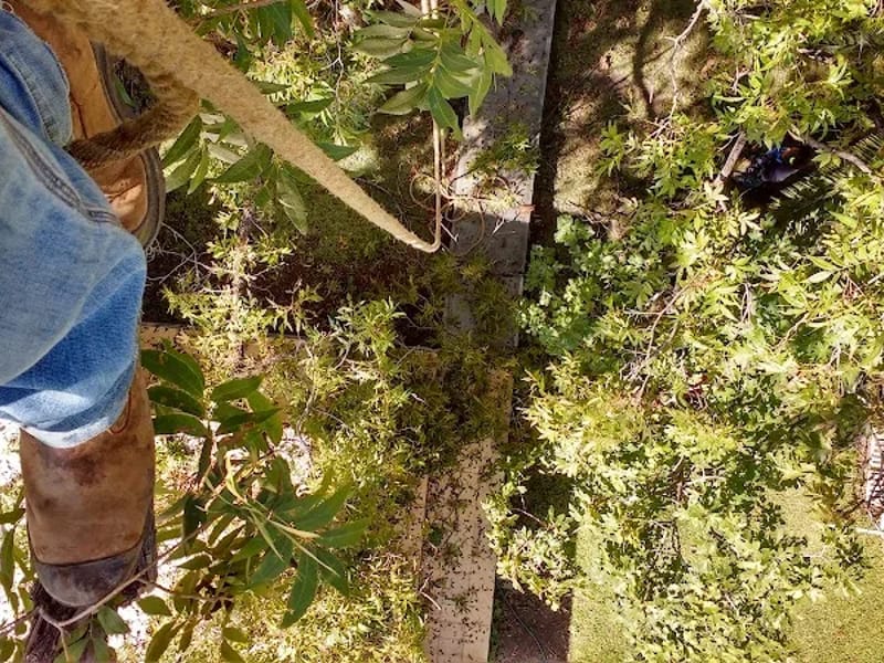 CASA HOGAR QUINTA MANUELITA - Vida Asistida in Parras, Coahuila photo 5