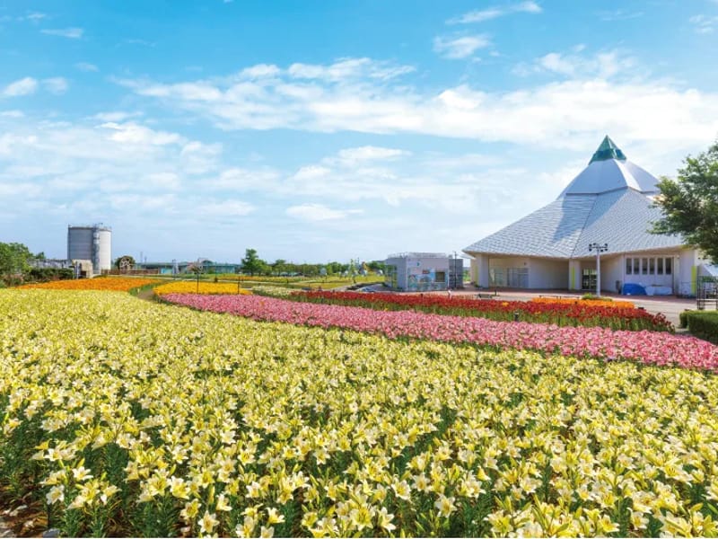 あかねの里 - 有料老人ホーム in 坂井市, 福井県 photo 5