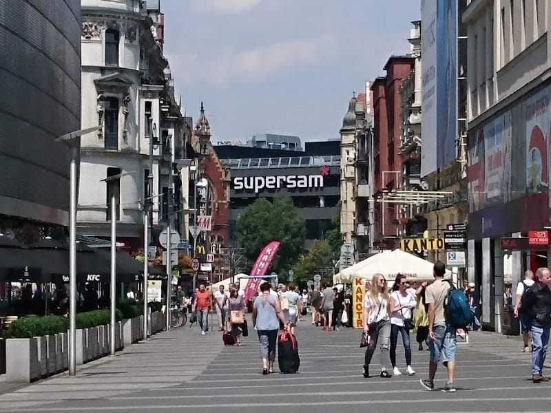 Województwo Śląskie - Dom pomocy społecznej in Katowice, Katowice photo 4