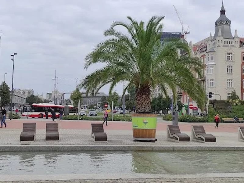 Województwo Śląskie - Dom pomocy społecznej in Katowice, Katowice photo 1