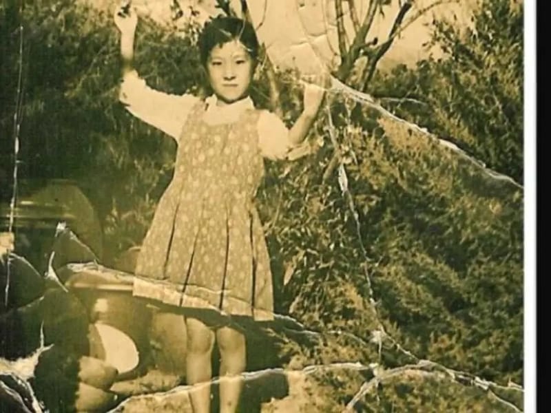 양지노인재가복지센터 - 방문요양 in 김제시, 전북특별자치도 photo 2