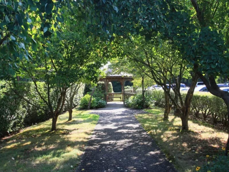 Ark Healthcare & Rehabilitation at Branford Hills - Nursing Home in Branford, CT photo 3