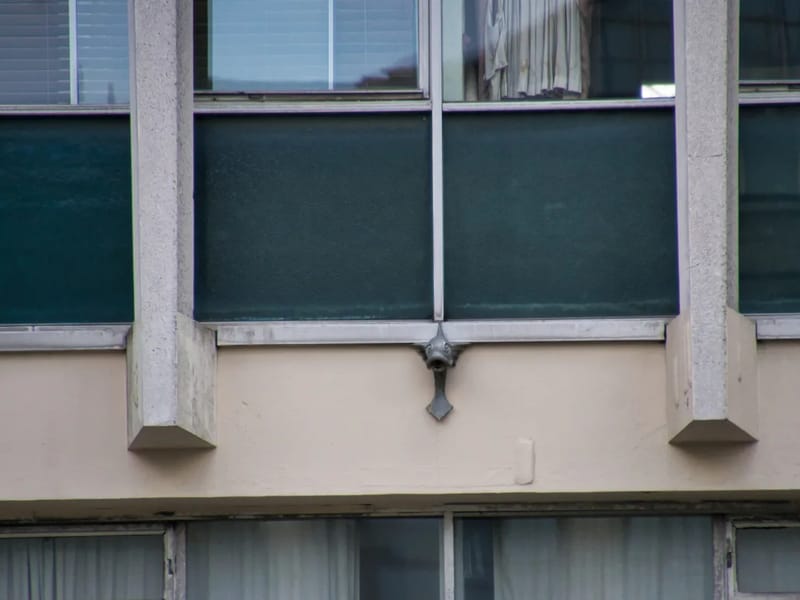 Avila House - Nursing Home in Worthing, England photo 3