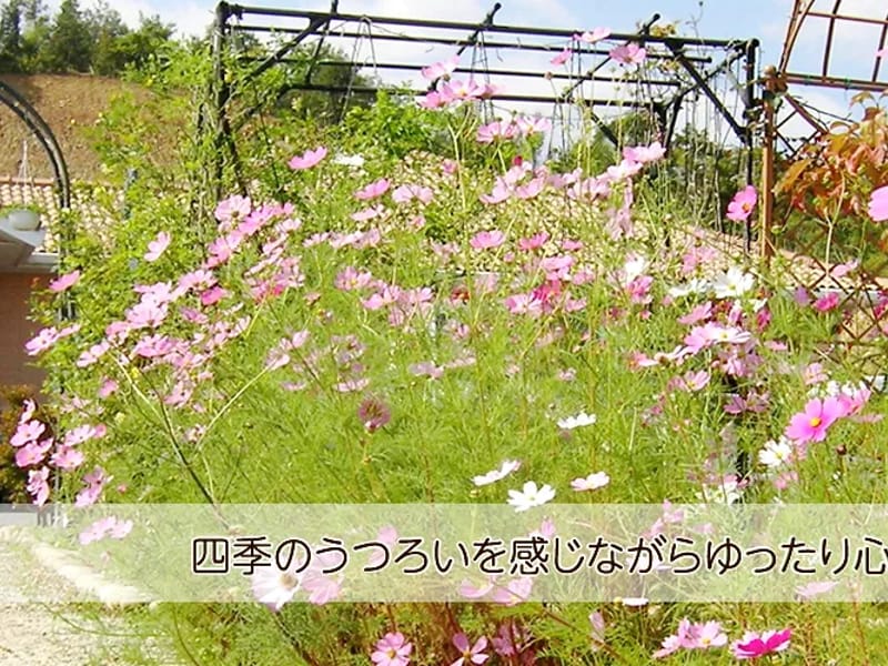 グループホーム　みどりの家連島 - 認知症ケア in 倉敷市, 岡山県 photo 2