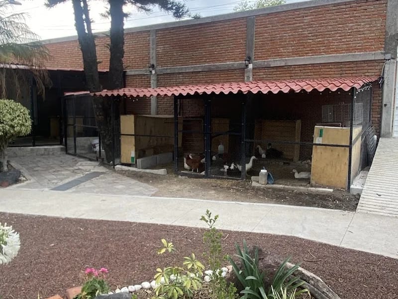 OCAMAT ESTANCIA Y RESIDENCIA GERIARTRICA - Hogar de Ancianos in Puebla, Puebla photo 7