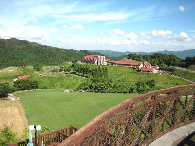 さかいの樹　学研都市 - デイサービス in 福岡市西区, 福岡県 photo 3