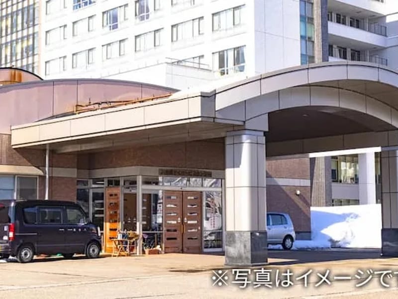 へるぱーすてーしょんれもん - 訪問介護 in 前橋市, 群馬県 photo 2